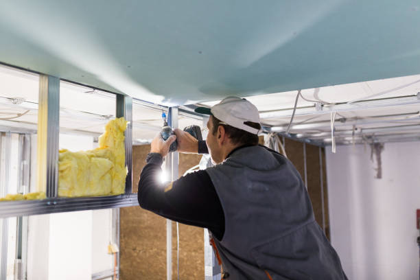 Best Best Insulation Companies  in Sewalls Point, FL