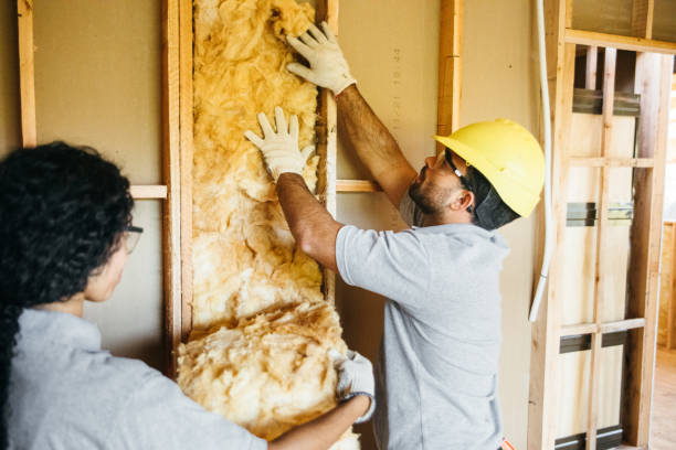 Best Insulation Removal  in Sewalls Point, FL