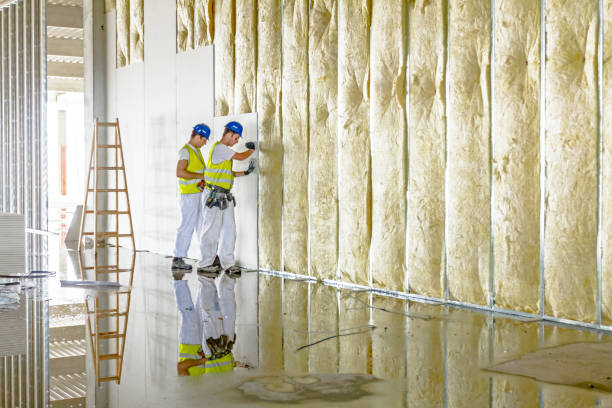 Best Crawl Space Insulation  in Sewalls Point, FL